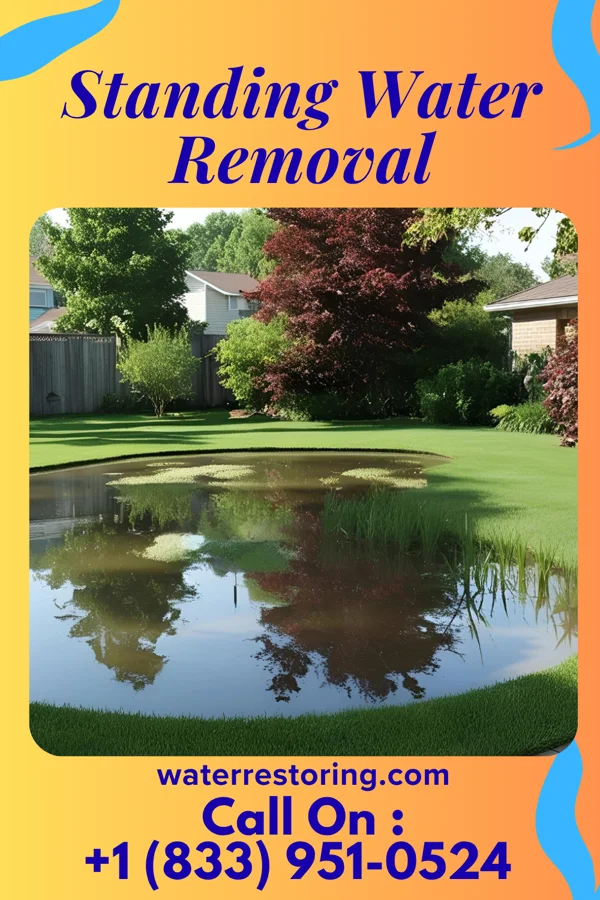 Standing Water Removal in Adair, IA